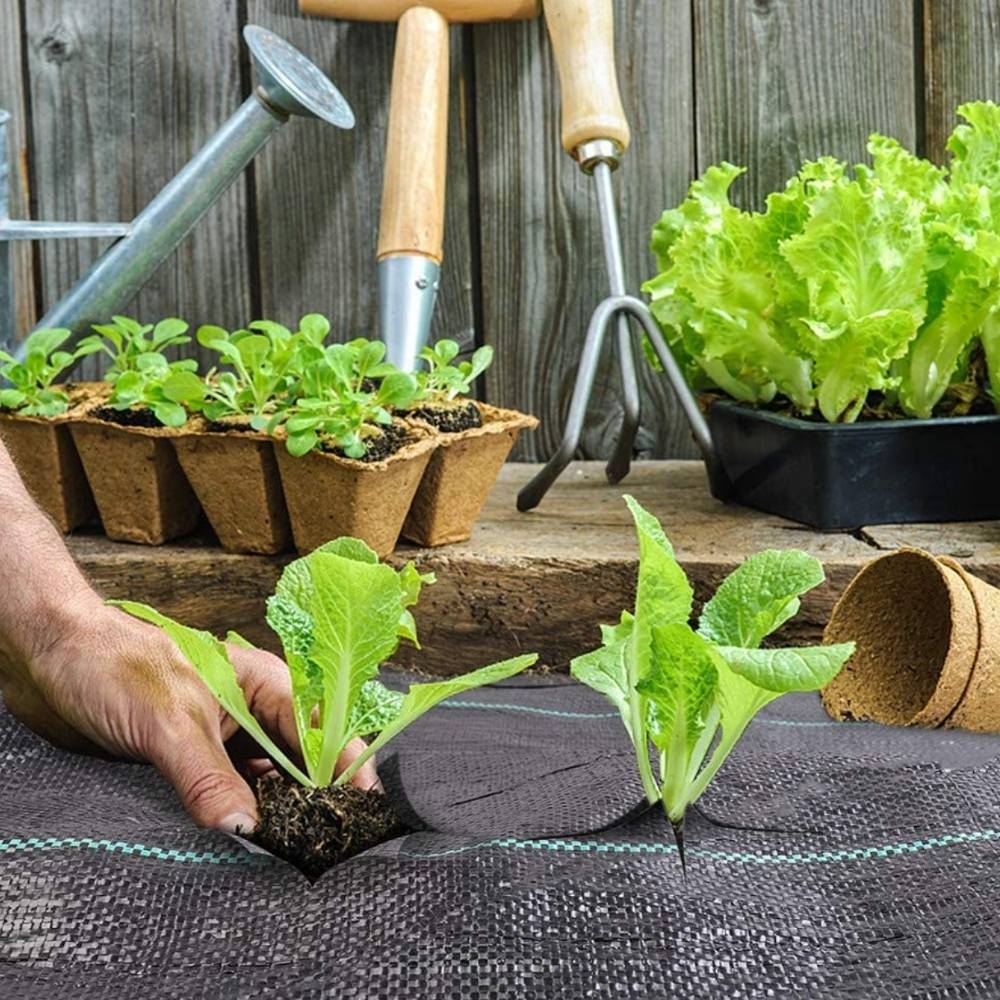 Garden Weed Barrier